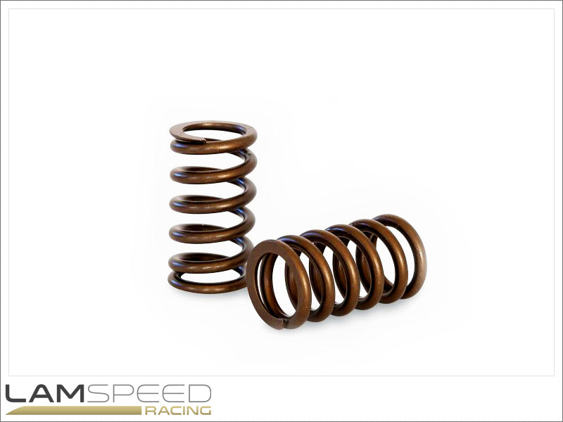 Kelford Cams - Valve Spring Set - Mitsubishi 4B11 (KVS11).